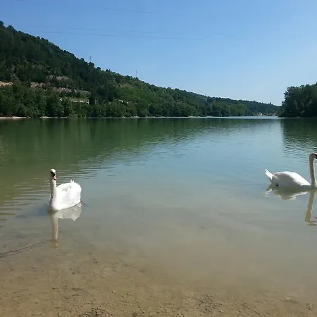 Ferranti 3*